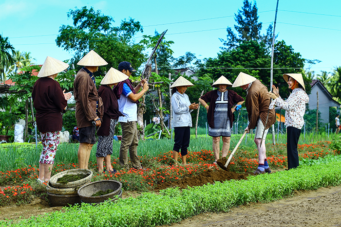 Du khách nước ngoài trải nghiệm trồng rau ở làng rau Trà Quế